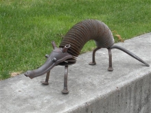 Miscellaneous Animals