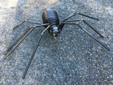Medium Spring Spider