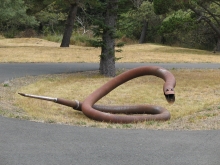  The Large Snake